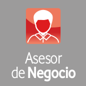 Asesor de negocios