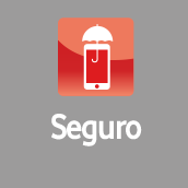 Seguro